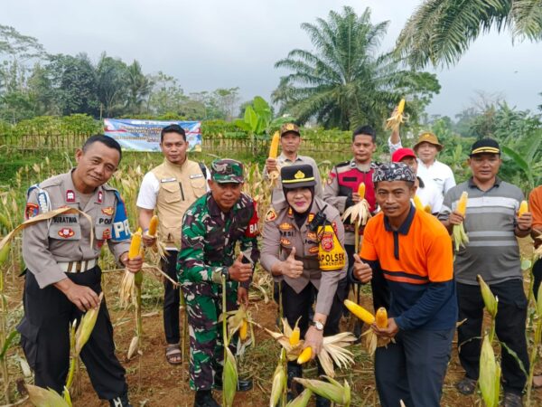 GIAT PANEN RAYA BERSAMA PRESIDEN RI DAN KAPOLRI MELALUI TAYANGAN STREAMING DI WILAYAH HUKUM KECAMATAN MEGAMENDUNG, POLSEK MEGAMENDUNG POLRES BOGOR POLDA JABAR DAN MUSPIKA DUKUNG ASTA CITA KETAHANAN PANGAN