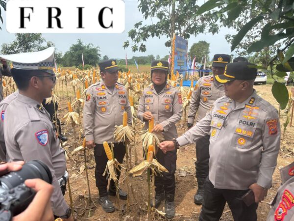 Kapolda Jabar Pimpin Panen Raya Jagung di Indramayu, Perkuat Ketahanan Pangan dan Layanan Gizi Nasional